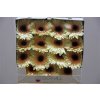 Gerbera Gr Diamond Eclair