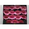 Gerbera Gr Diamond Evi