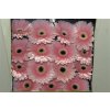 Gerbera Gr Diamond Graceland