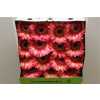 Gerbera Gr Diamond Itsaparty