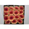 Gerbera Gr Diamond Julia