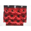 Gerbera Gr Diamond Ladies First