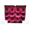 Gerbera Gr Diamond Lucio