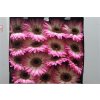 Gerbera Gr Diamond Mandala