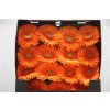 Gerbera Gr Diamond Mandarina