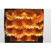 Gerbera Gr Diamond Mango
