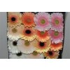 Gerbera Gr Diamond Mixed Pastel