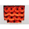 Gerbera Gr Diamond Monarch