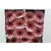 Gerbera Gr Diamond Monroe