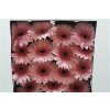 Gerbera Gr Diamond Monroe