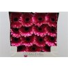 Gerbera Gr Diamond Nuance