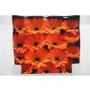 Gerbera Gr Diamond Orange-up