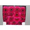 Gerbera Gr Diamond Passoa
