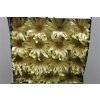Gerbera Gr Diamond Pasta Carbonara