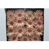 Gerbera Gr Diamond Pasta Rosata