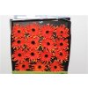 Gerbera Gr Diamond Pastini Emilia