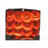 Gerbera Gr Diamond Peptalk