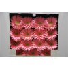Gerbera Gr Diamond Plot