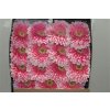 Gerbera Gr Diamond Powerball