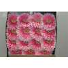 Gerbera Gr Diamond Powerball