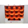 Gerbera Gr Diamond Prestige