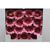 Gerbera Gr Diamond Rendez-vous