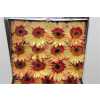 Gerbera Gr Diamond Salut