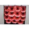 Gerbera Gr Diamond Scala
