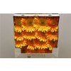 Gerbera Gr Diamond Souvenir