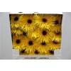 Gerbera Gr Diamond Spider Chiquita