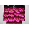 Gerbera Gr Diamond Ter Wink