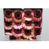 Gerbera Gr Diamond Trafassie