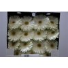 Gerbera Gr Diamond White Grizzly