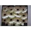 Gerbera Gr Diamond White House