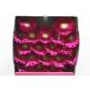 Gerbera Mi Diamond Airplay