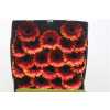 Gerbera Mi Diamond Allround