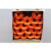Gerbera Mi Diamond Allure