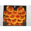Gerbera Mi Diamond Anita