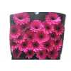Gerbera Mi Diamond Anna