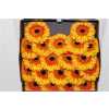 Gerbera Mi Diamond Barbados