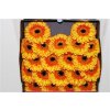 Gerbera Mi Diamond Barbados