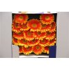 Gerbera Mi Diamond Blink