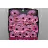 Gerbera Mi Diamond Brocante