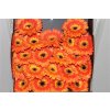 Gerbera Mi Diamond Colori