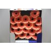 Gerbera Mi Diamond Cookies 'n Cream