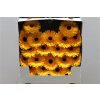 Gerbera Mi Diamond Davidson