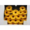 Gerbera Mi Diamond Delmonte