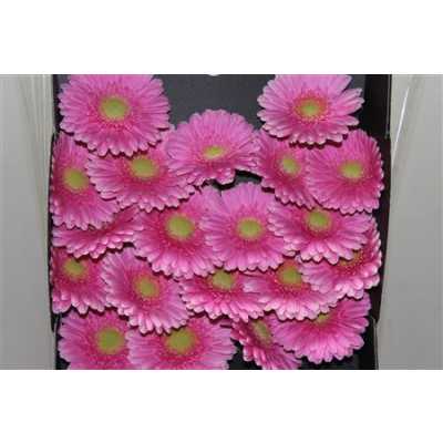 Gerbera Mi Diamond Festini