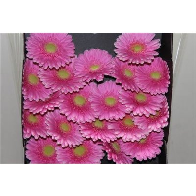 Gerbera Mi Diamond Festini
