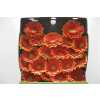 Gerbera Mi Diamond Franky
